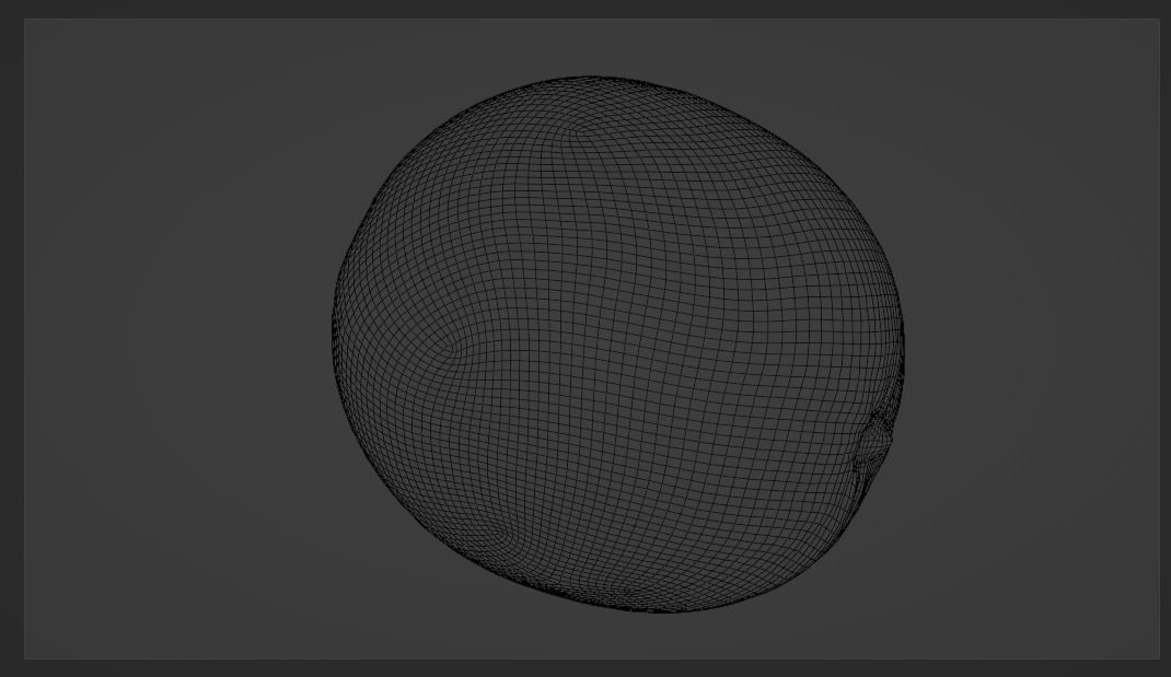 PHOTOSCANNED Realistic Orange 3D model_7
