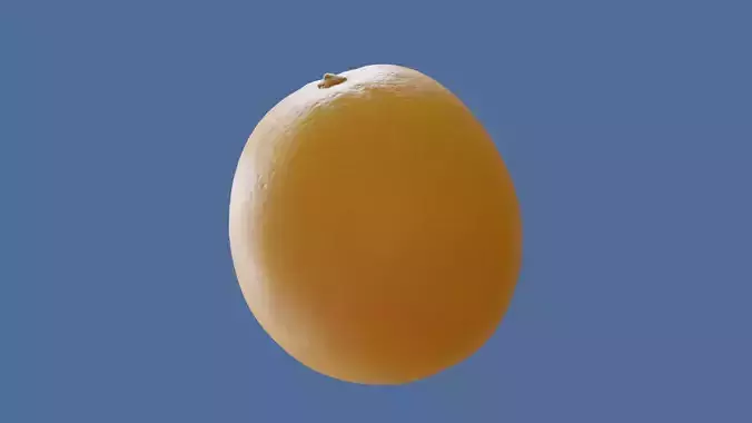 PHOTOSCANNED Realistic Orange 3D model