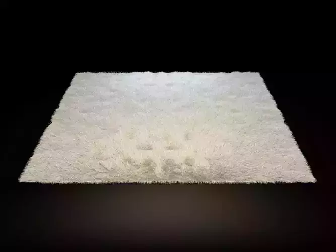 Carpet15-1 shaggy rug