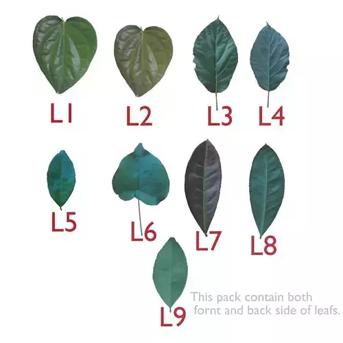 Realistic Leaf Texture 