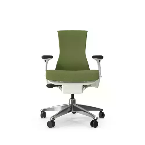 Embody Chair 3D model