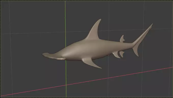 Hammerhead Shark 3D model