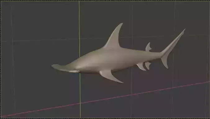 Hammerhead Shark