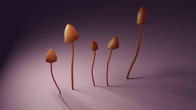 Shrooms group of sprouts free 3D model | CGTrader