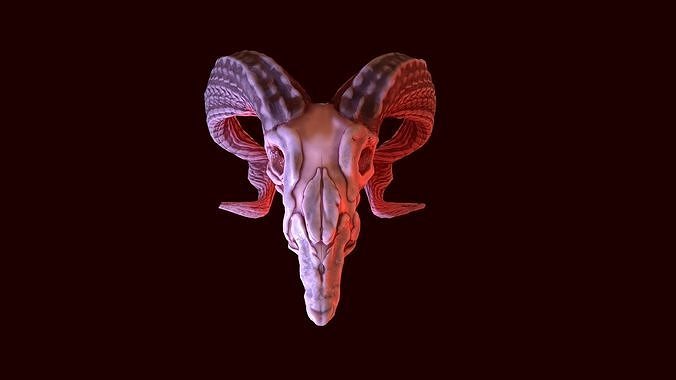 gameready goat skull Low-poly 3D model