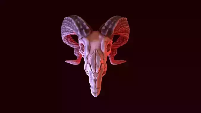 gameready goat skull Low-poly 3D model