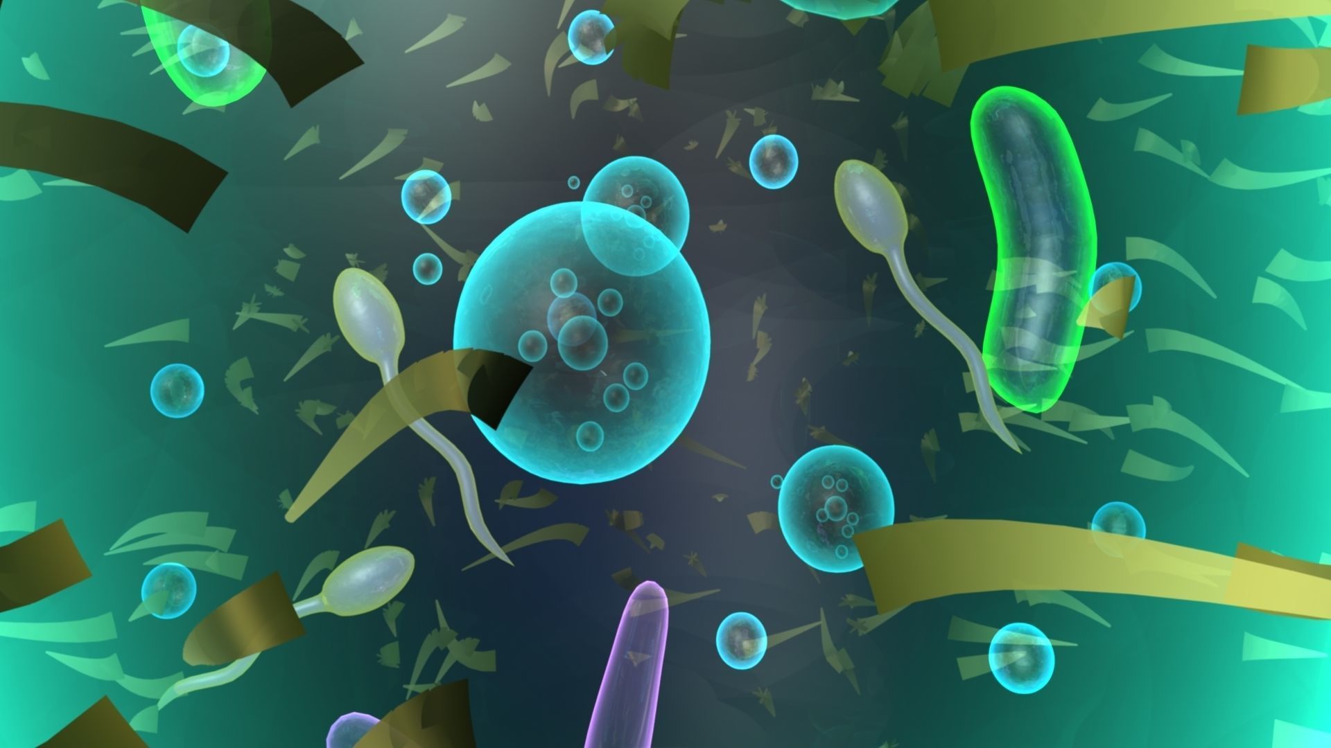 paramecium bacterium 3D model_4