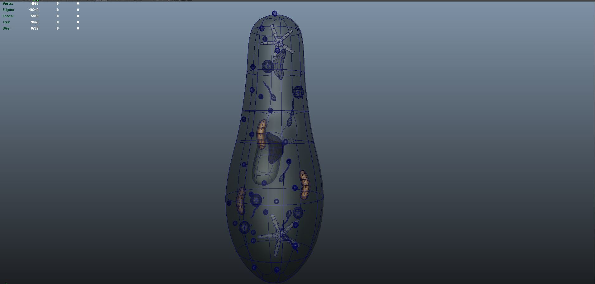 paramecium bacterium 3D model_7