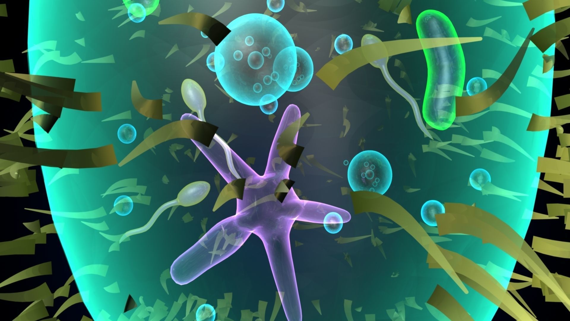 paramecium bacterium 3D model_5