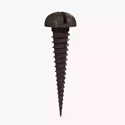 Rusty Screw