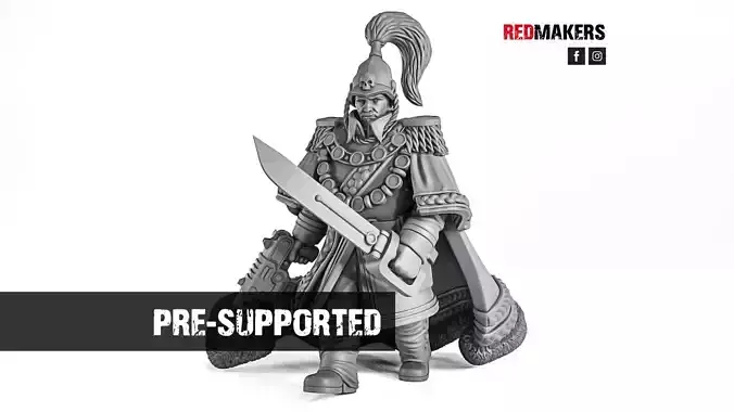 Royal Regiment - Officer of the Imperial Force 3D print model