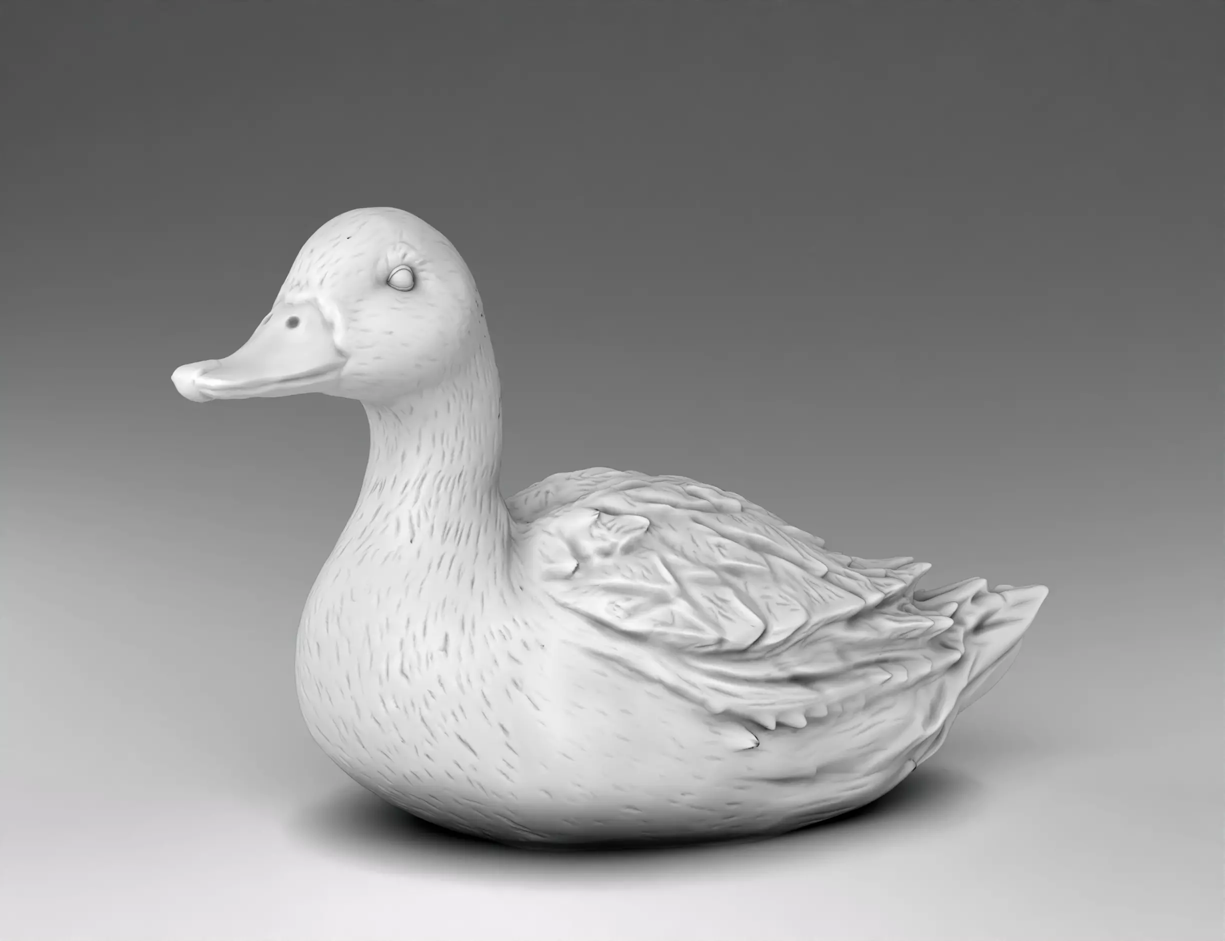 wild duck 3D print model