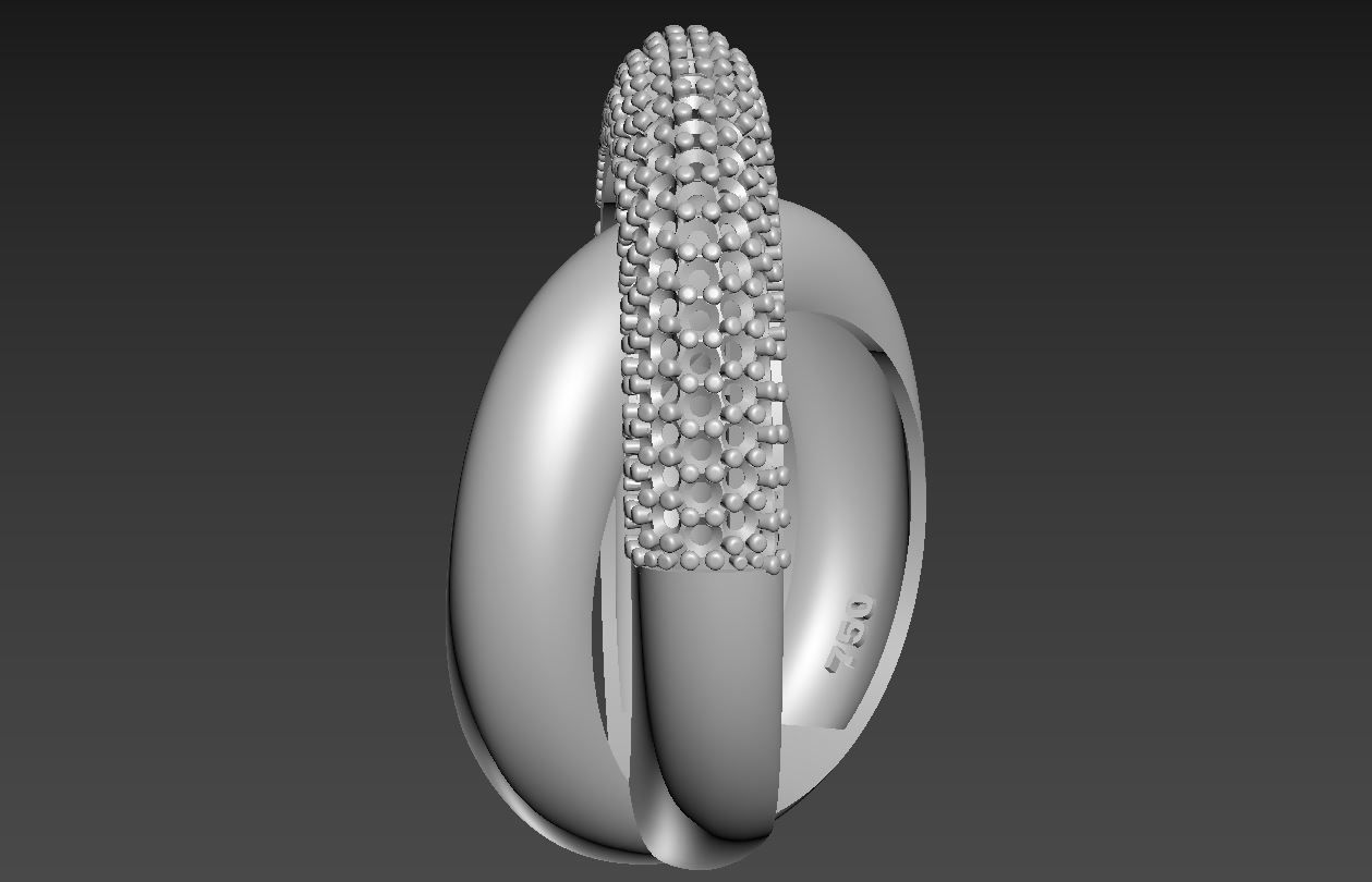Ring R 49 3D print model_5