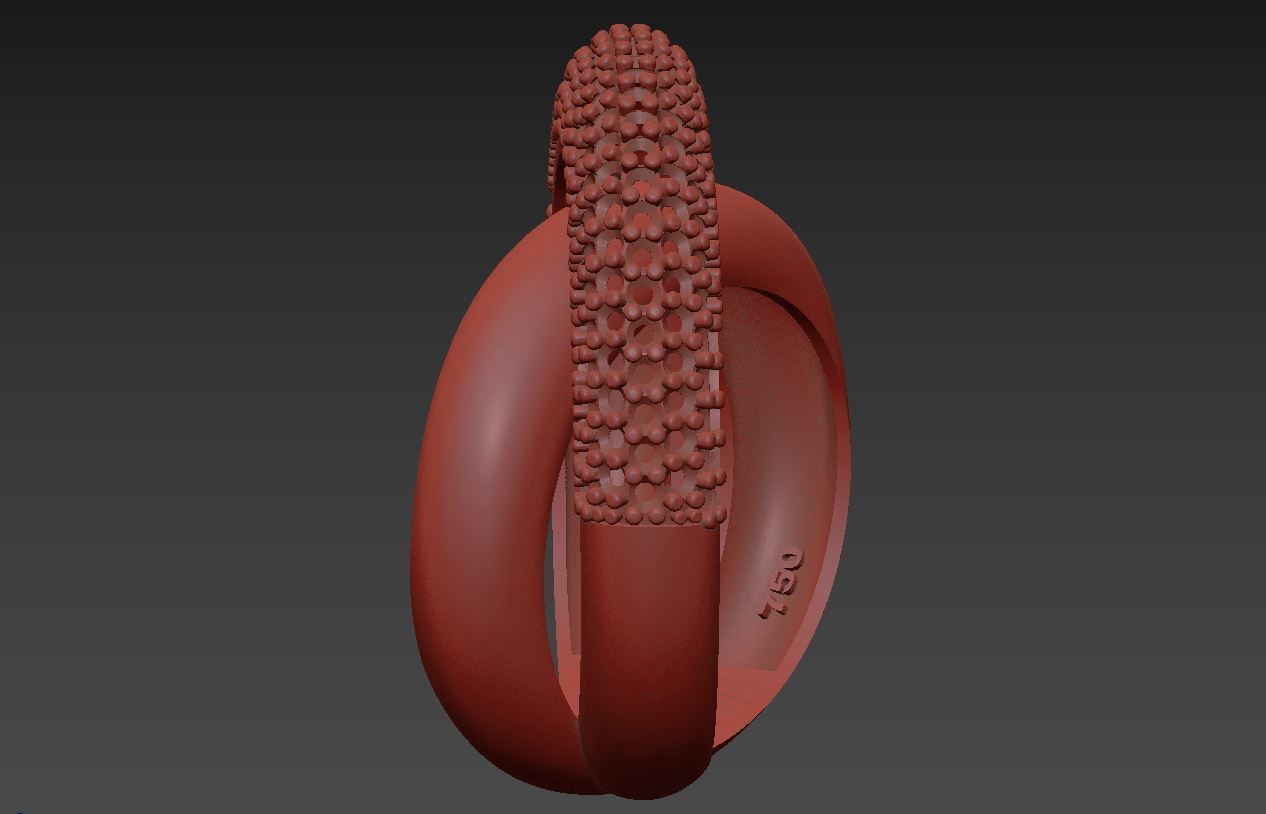 Ring R 49 3D print model_4