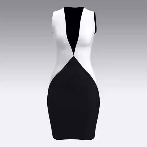 DRESS V NECKLINE BLACK WHITE
