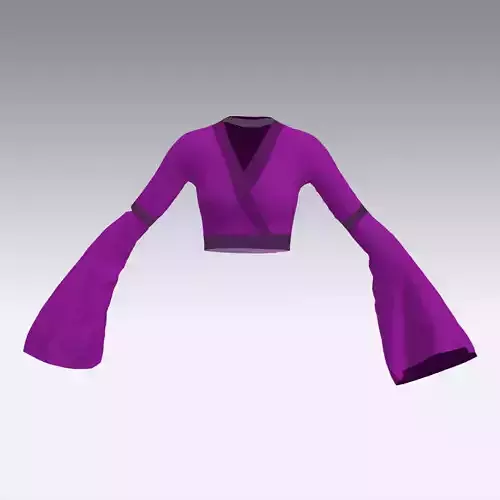 V NECKLINE PURPLE BLOUSE TRASPARENT LOOK