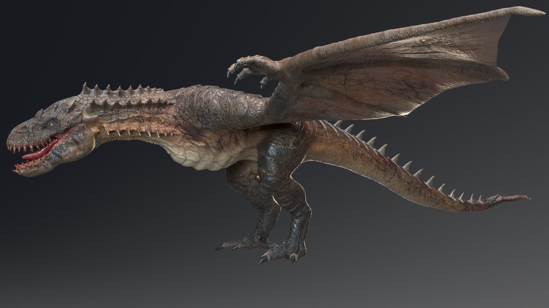 Dinosaur Wyvern Rex Model Low-poly 3D model_3