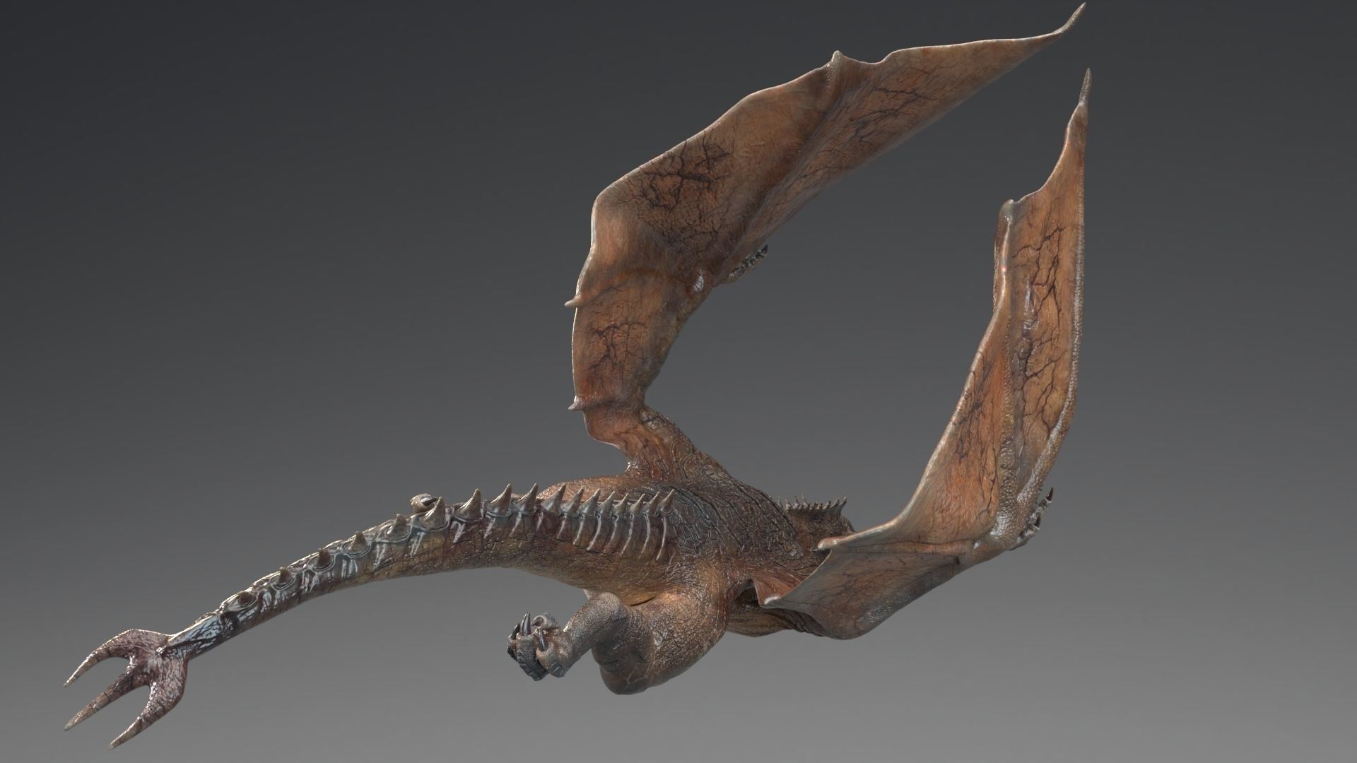 Dinosaur Wyvern Rex Model Low-poly 3D model_18