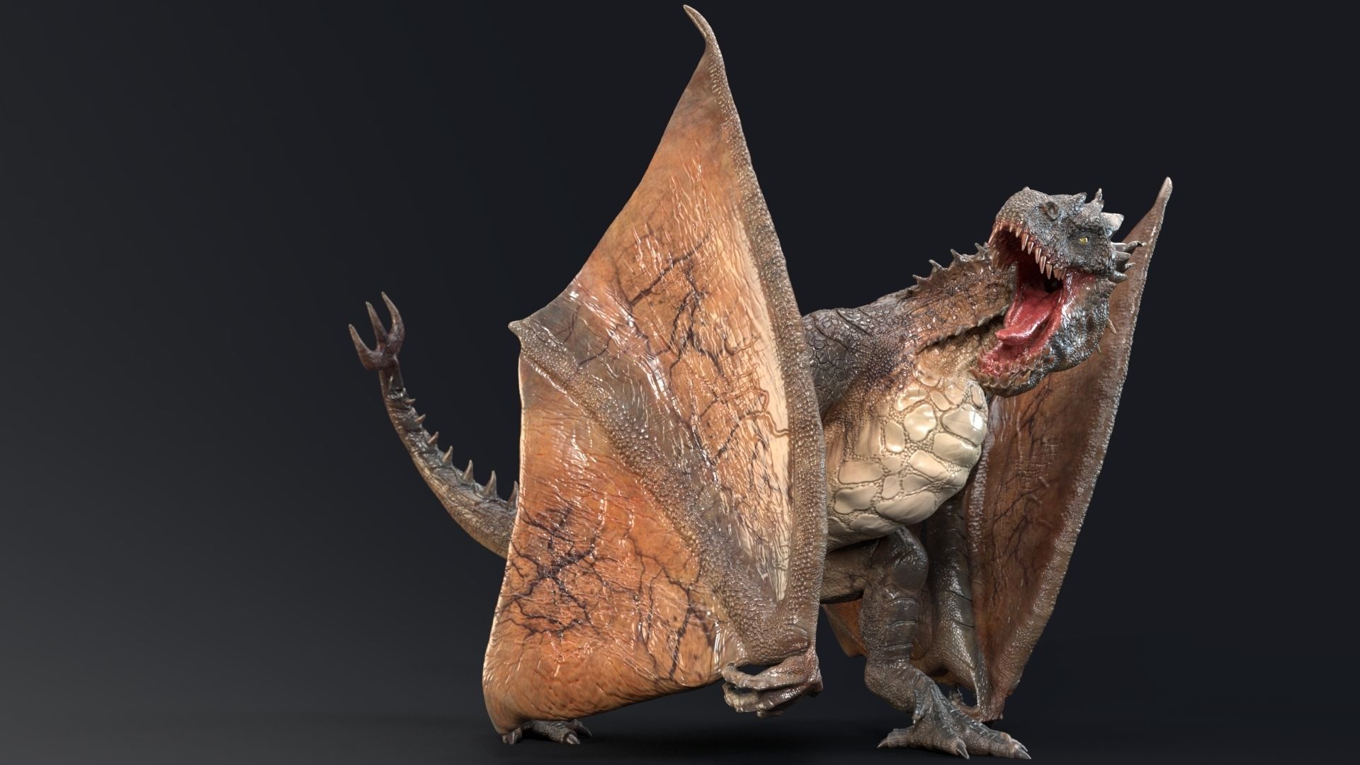 Dinosaur Wyvern Rex Model Low-poly 3D model_19