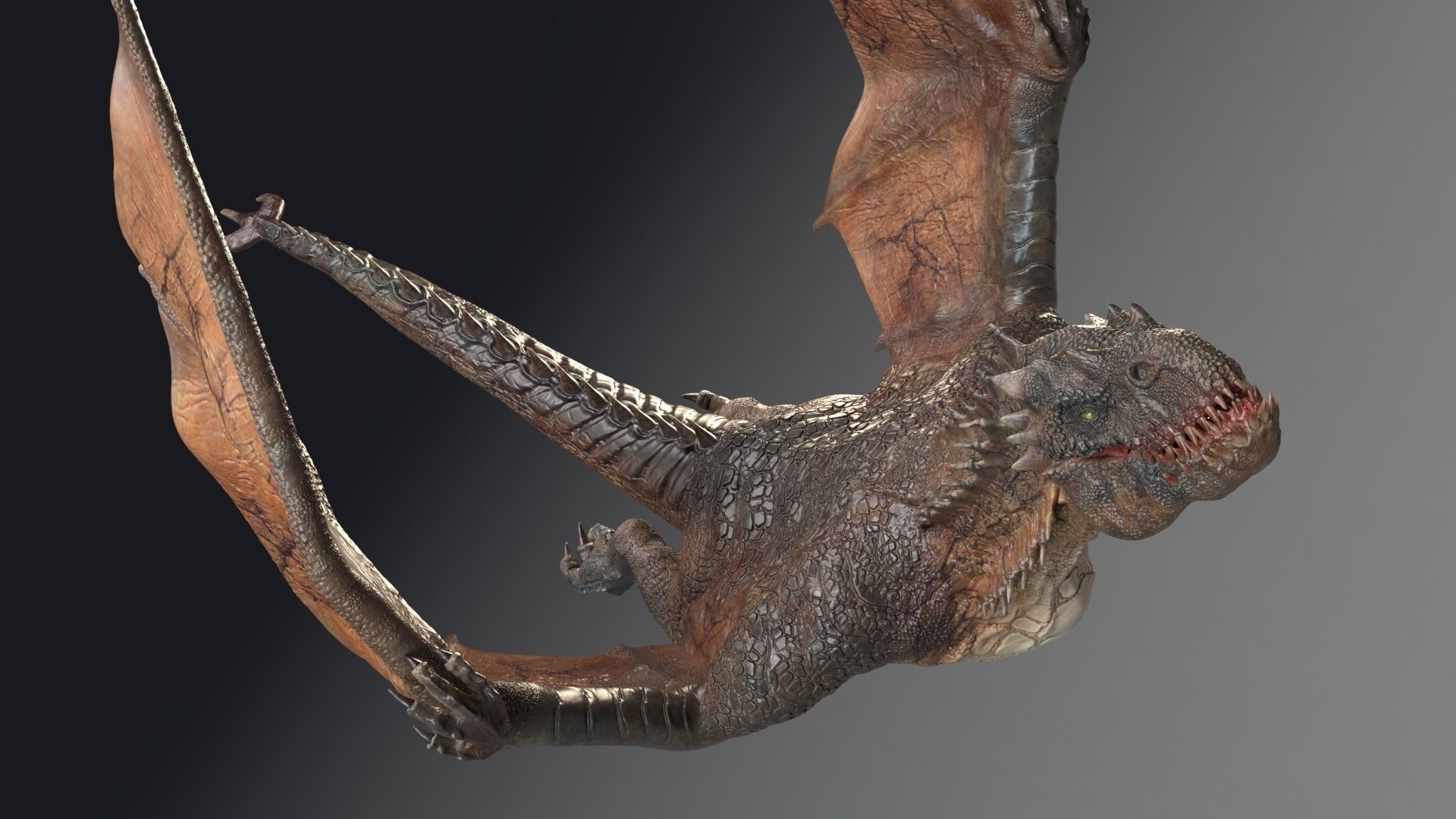 Dinosaur Wyvern Rex Model Low-poly 3D model_14