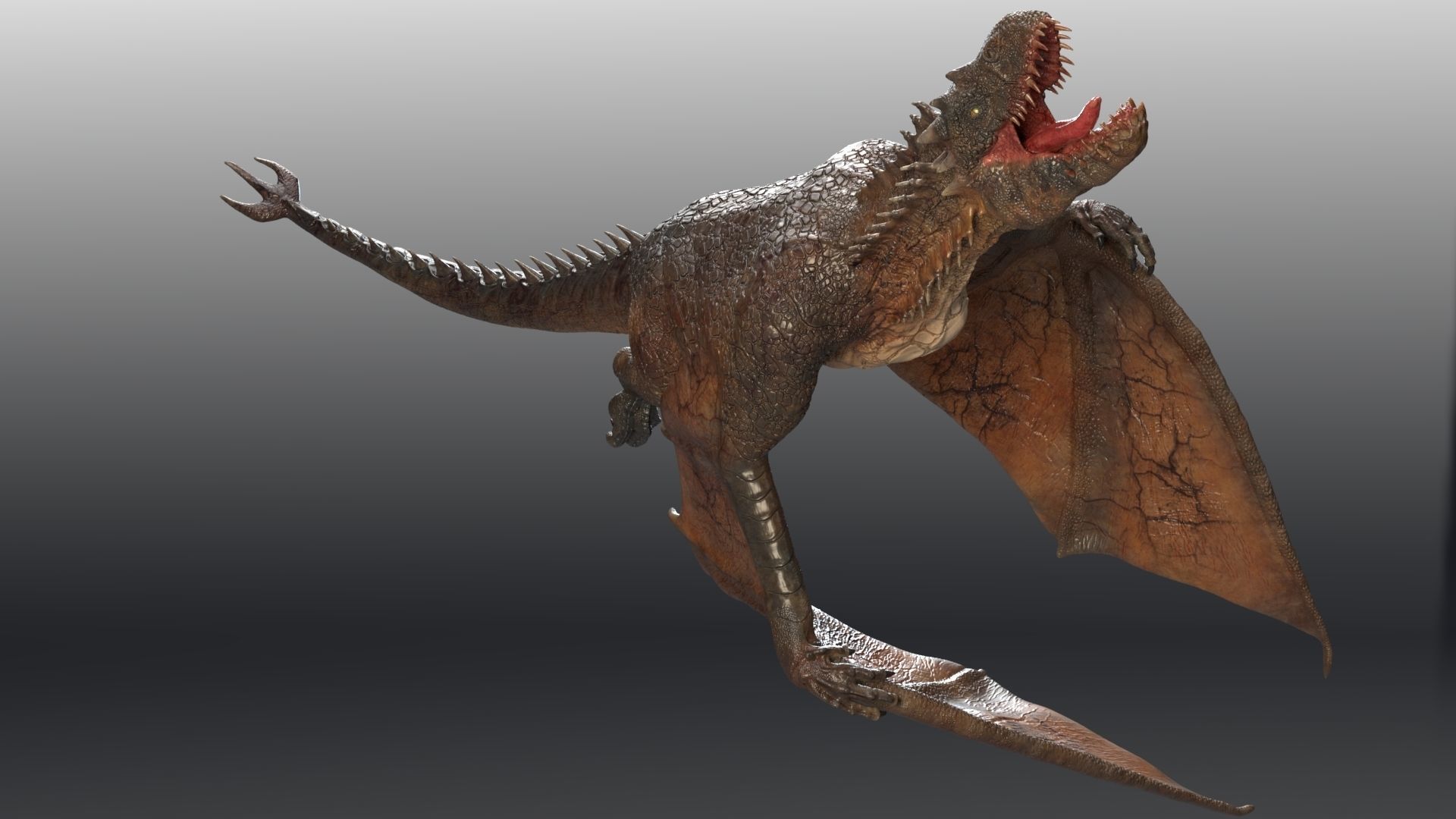 Dinosaur Wyvern Rex Model Low-poly 3D model_13