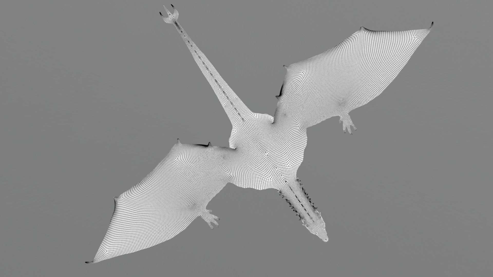 Dinosaur Wyvern Rex Model Low-poly 3D model_23