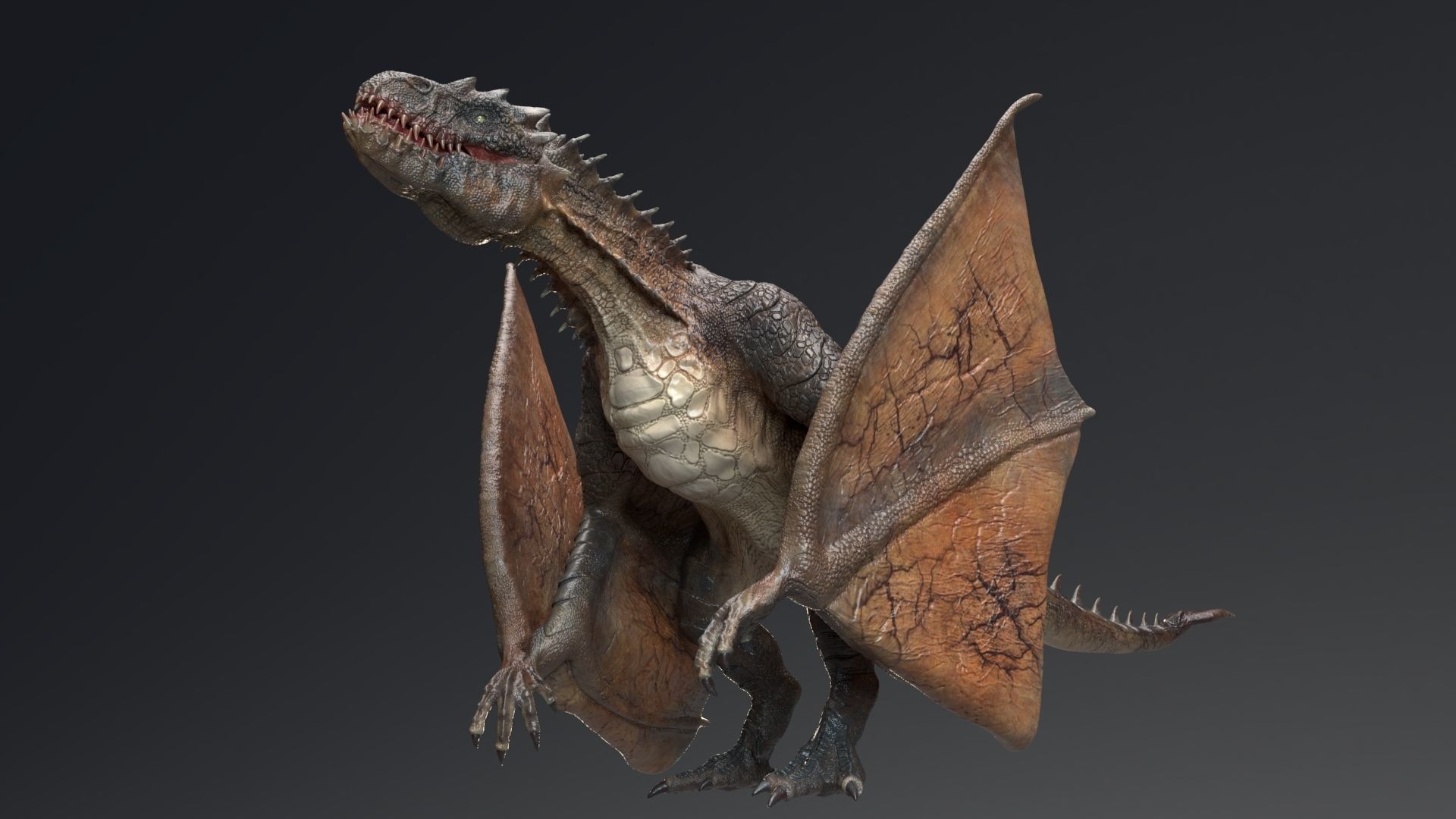 Dinosaur Wyvern Rex Model Low-poly 3D model_8