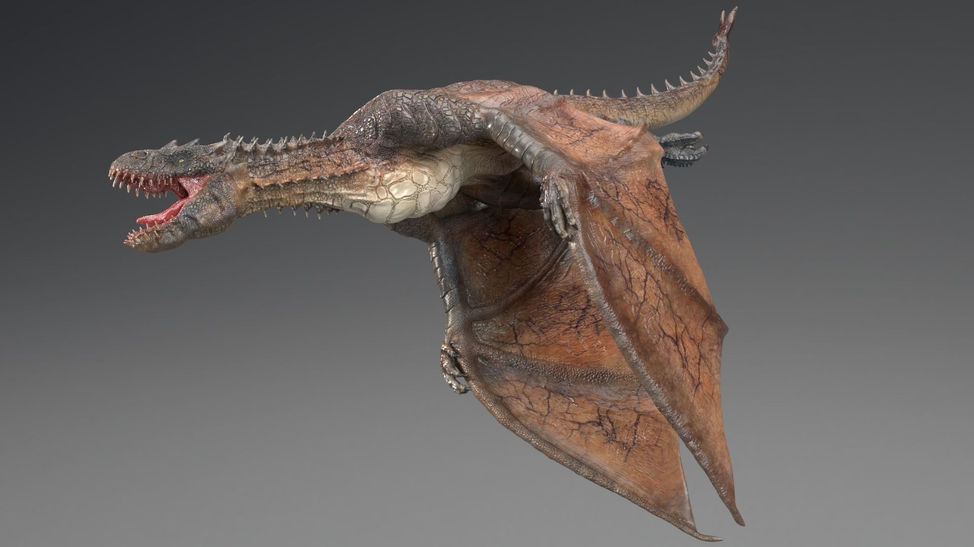 Dinosaur Wyvern Rex Model Low-poly 3D model_17