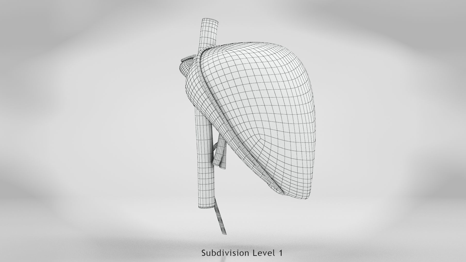 Liver Anatomy Low-poly 3D model_14