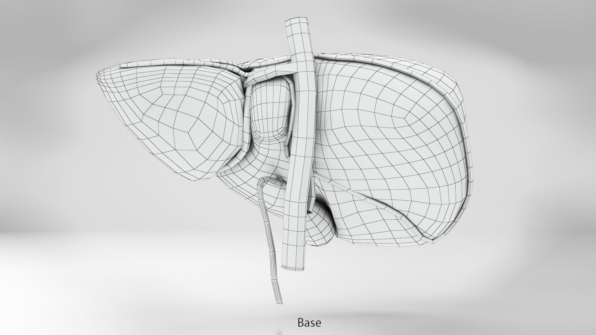 Liver Anatomy Low-poly 3D model_10