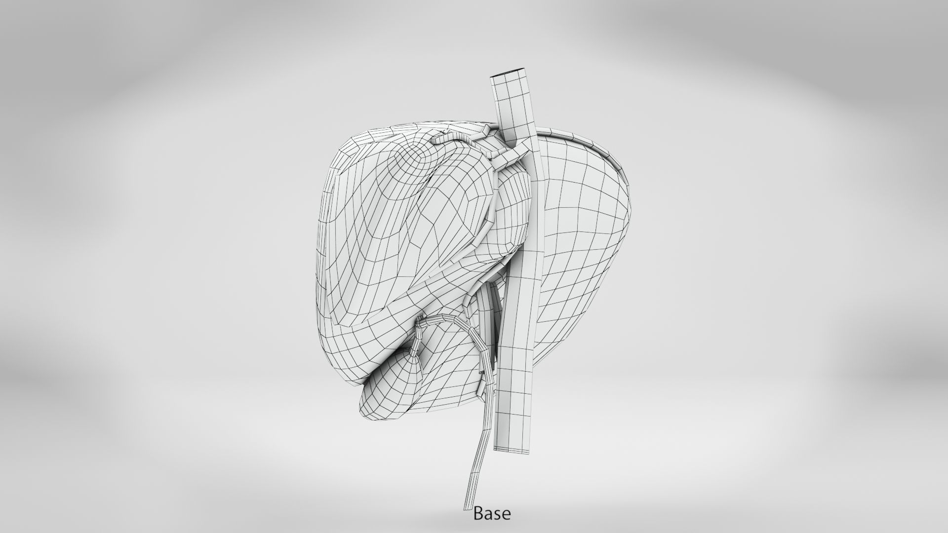 Liver Anatomy Low-poly 3D model_17