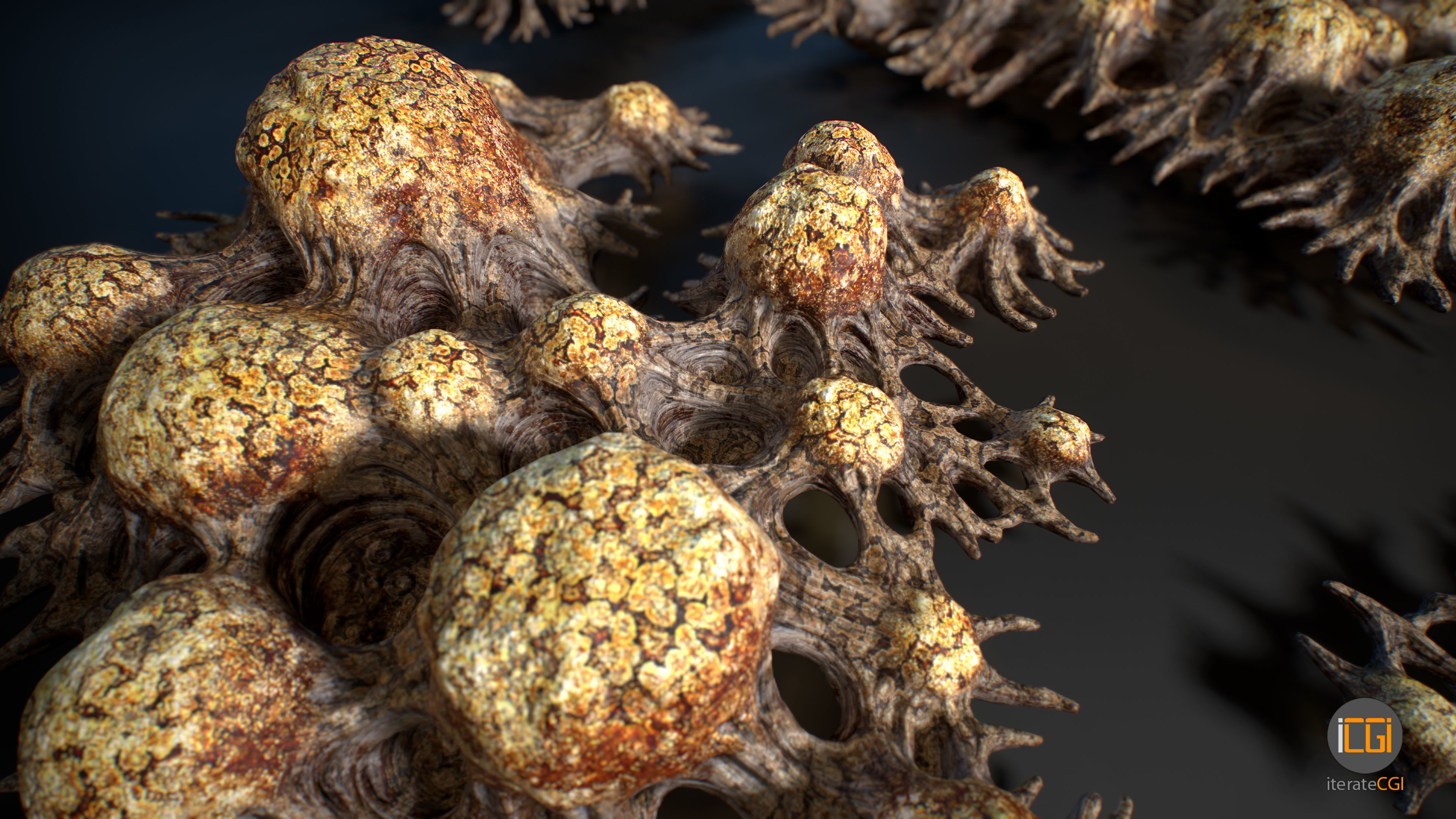 Alien Plant Fungus Type 3 3D model_56