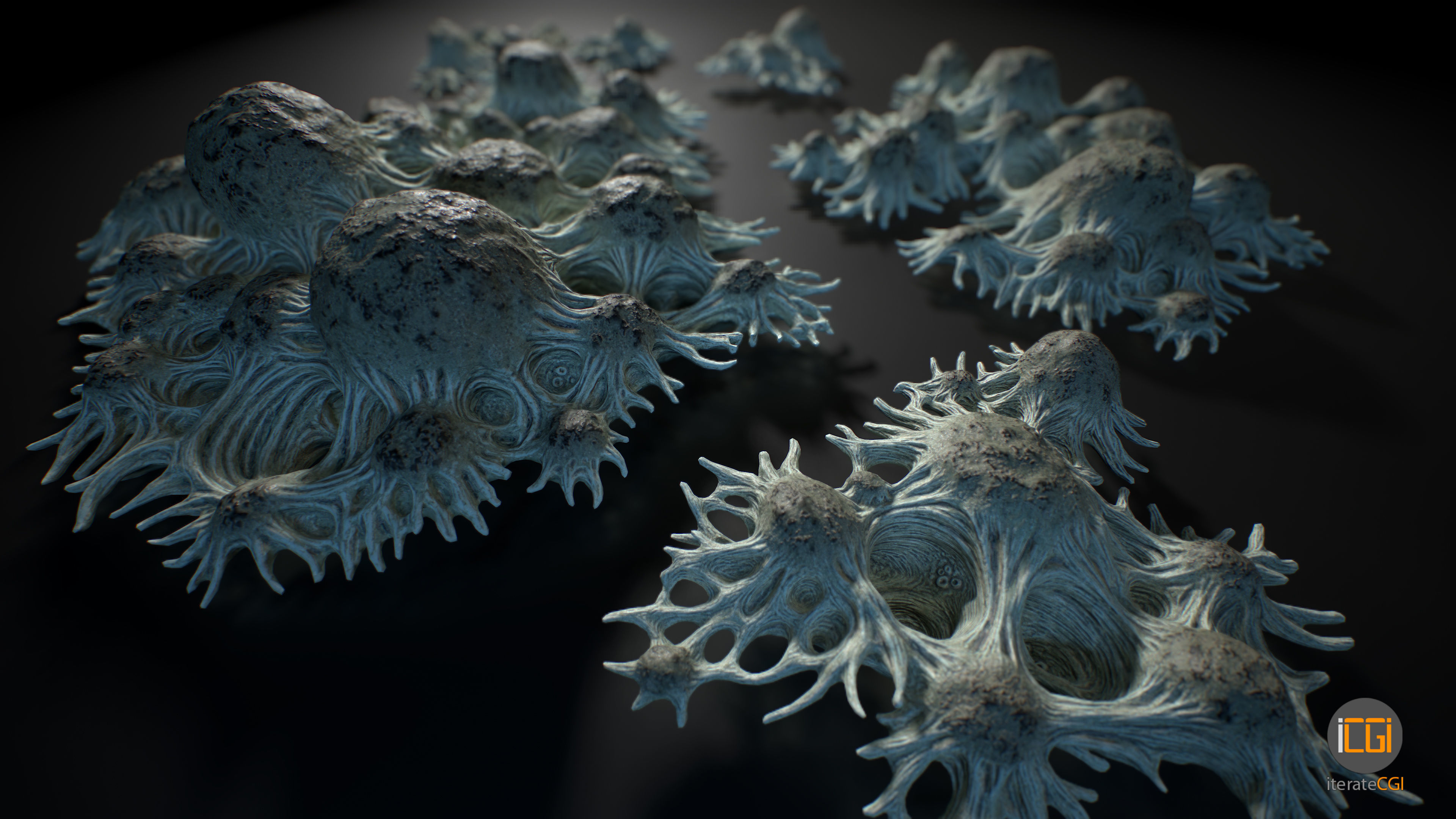 Alien Plant Fungus Type 3 3D model_31