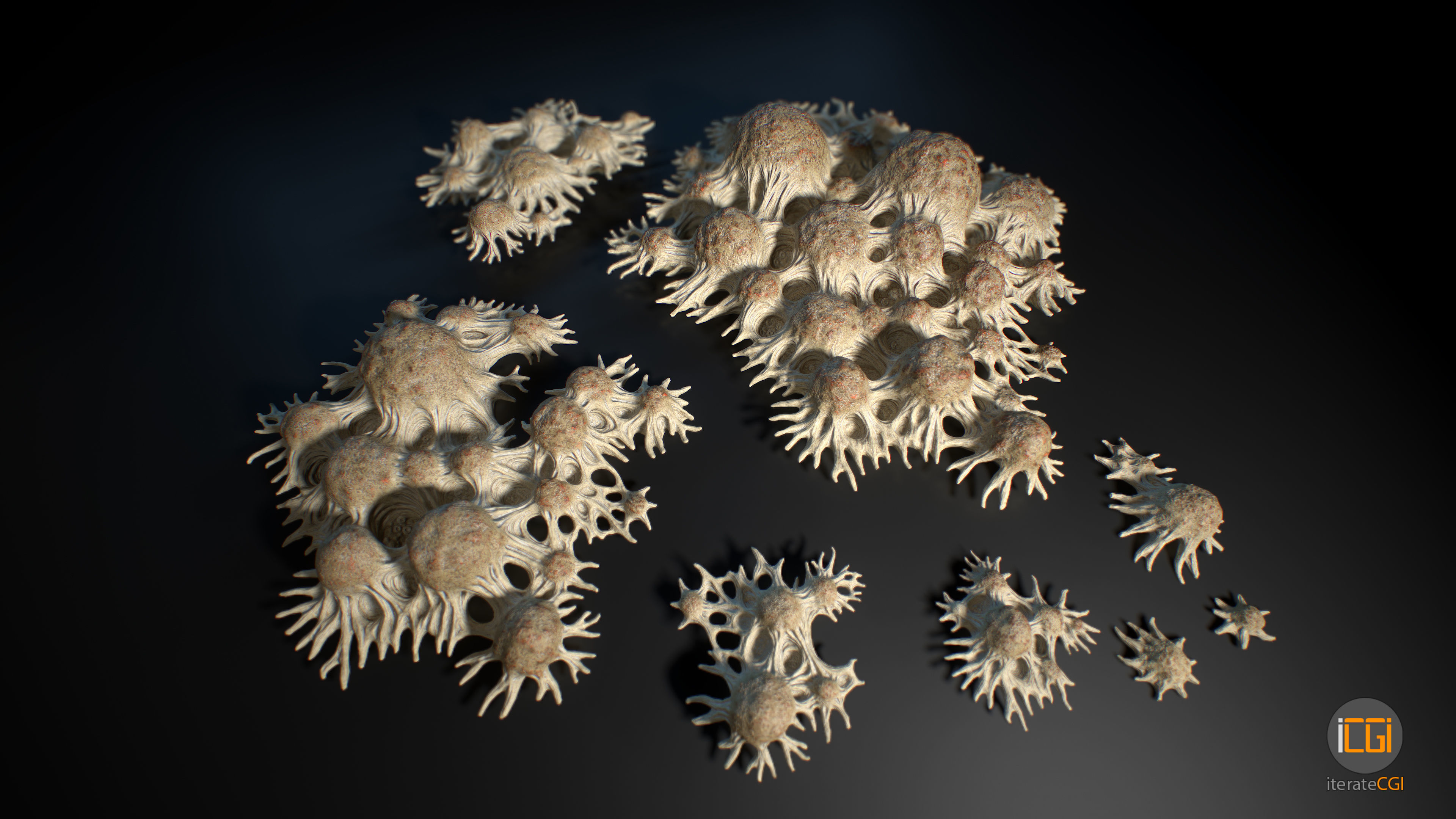 Alien Plant Fungus Type 3 3D model_29