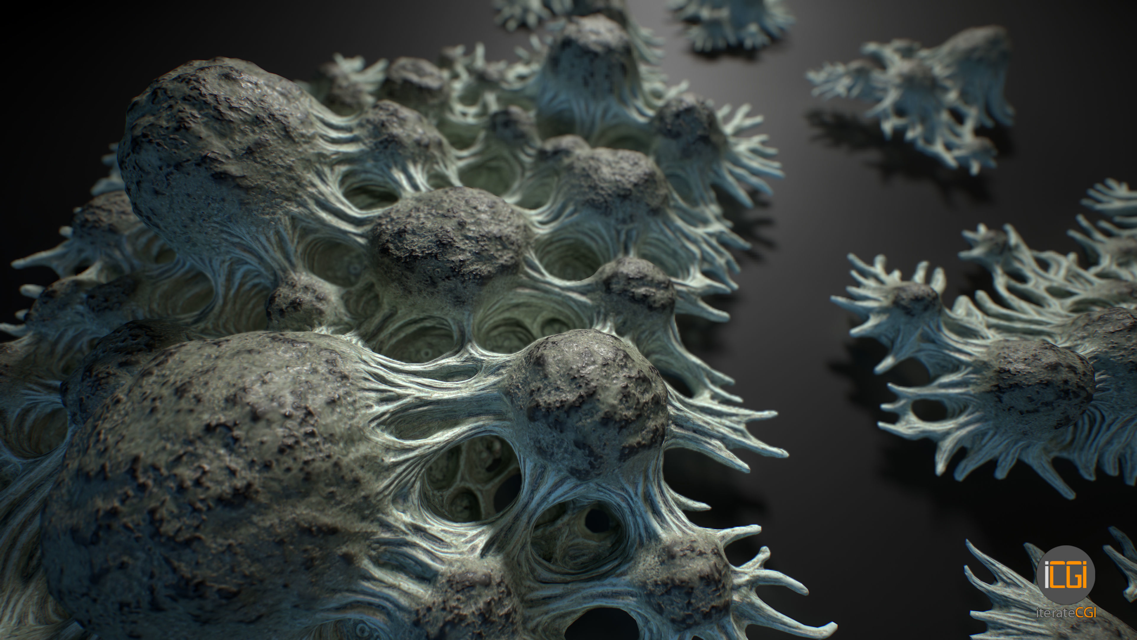Alien Plant Fungus Type 3 3D model_26