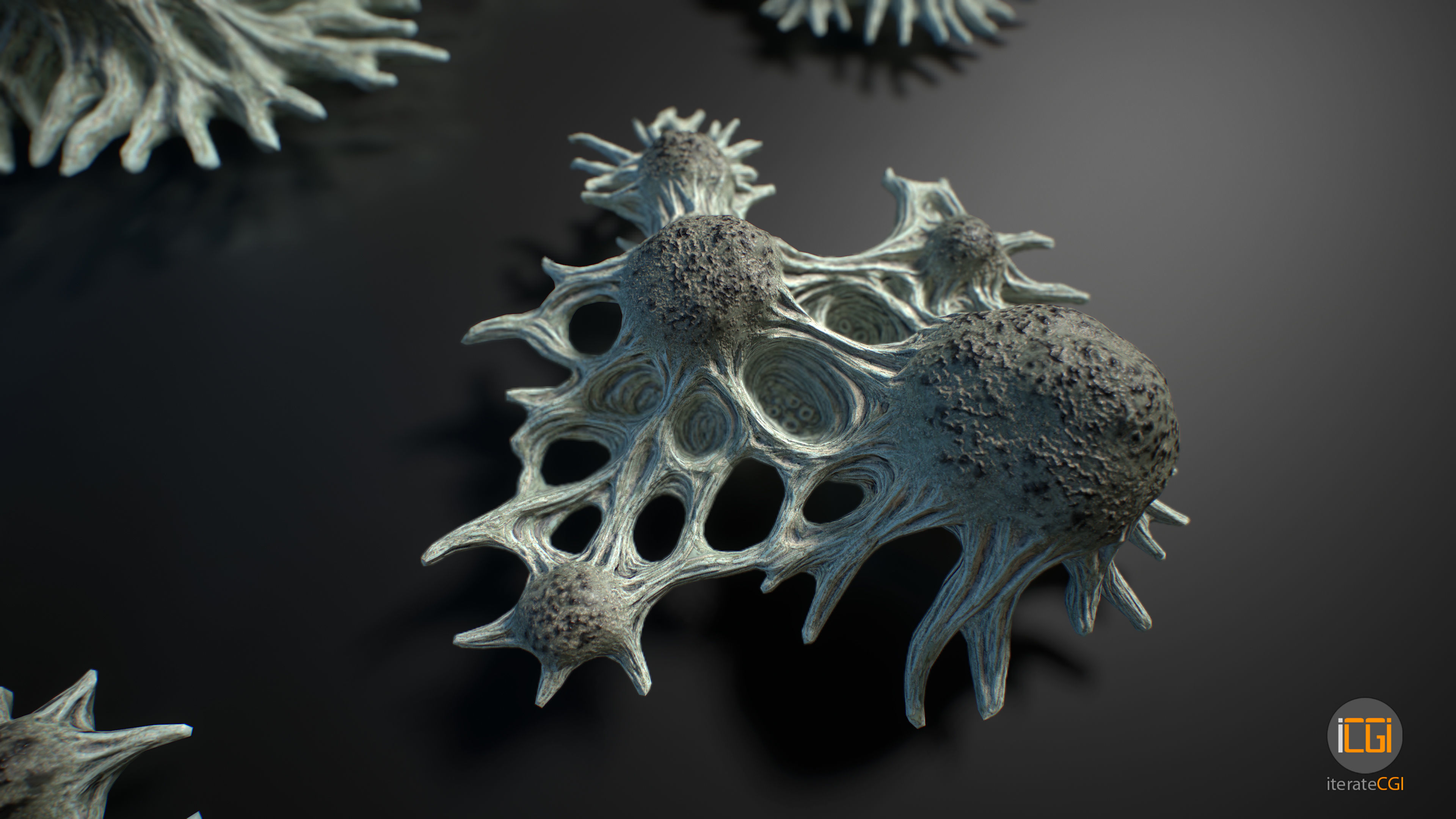Alien Plant Fungus Type 3 3D model_10