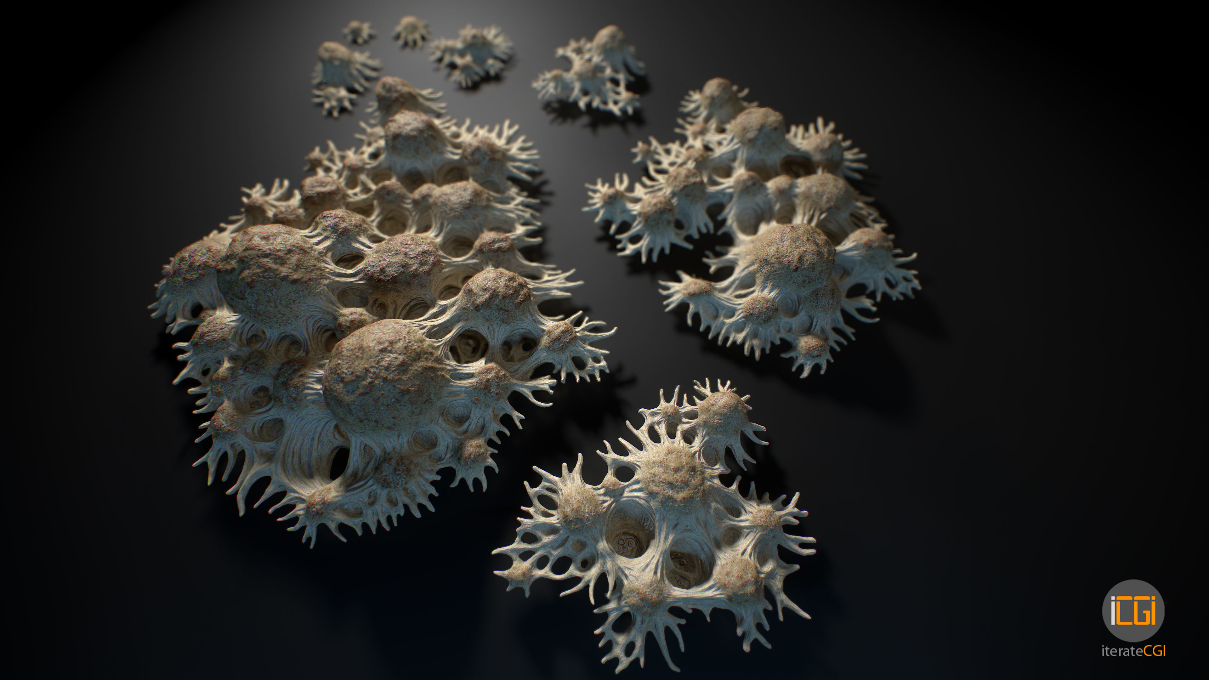 Alien Plant Fungus Type 3 3D model_2