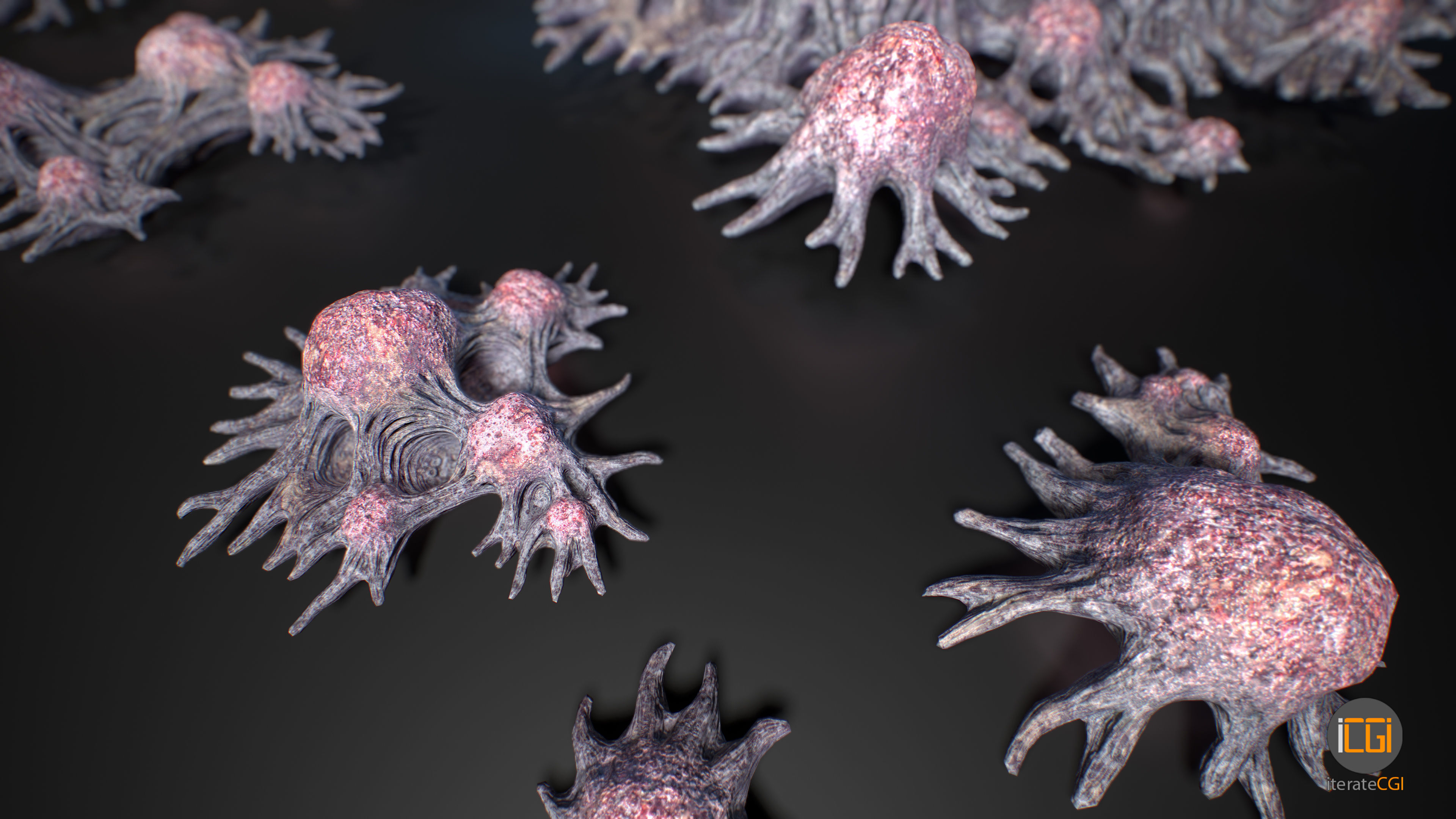 Alien Plant Fungus Type 3 3D model_28