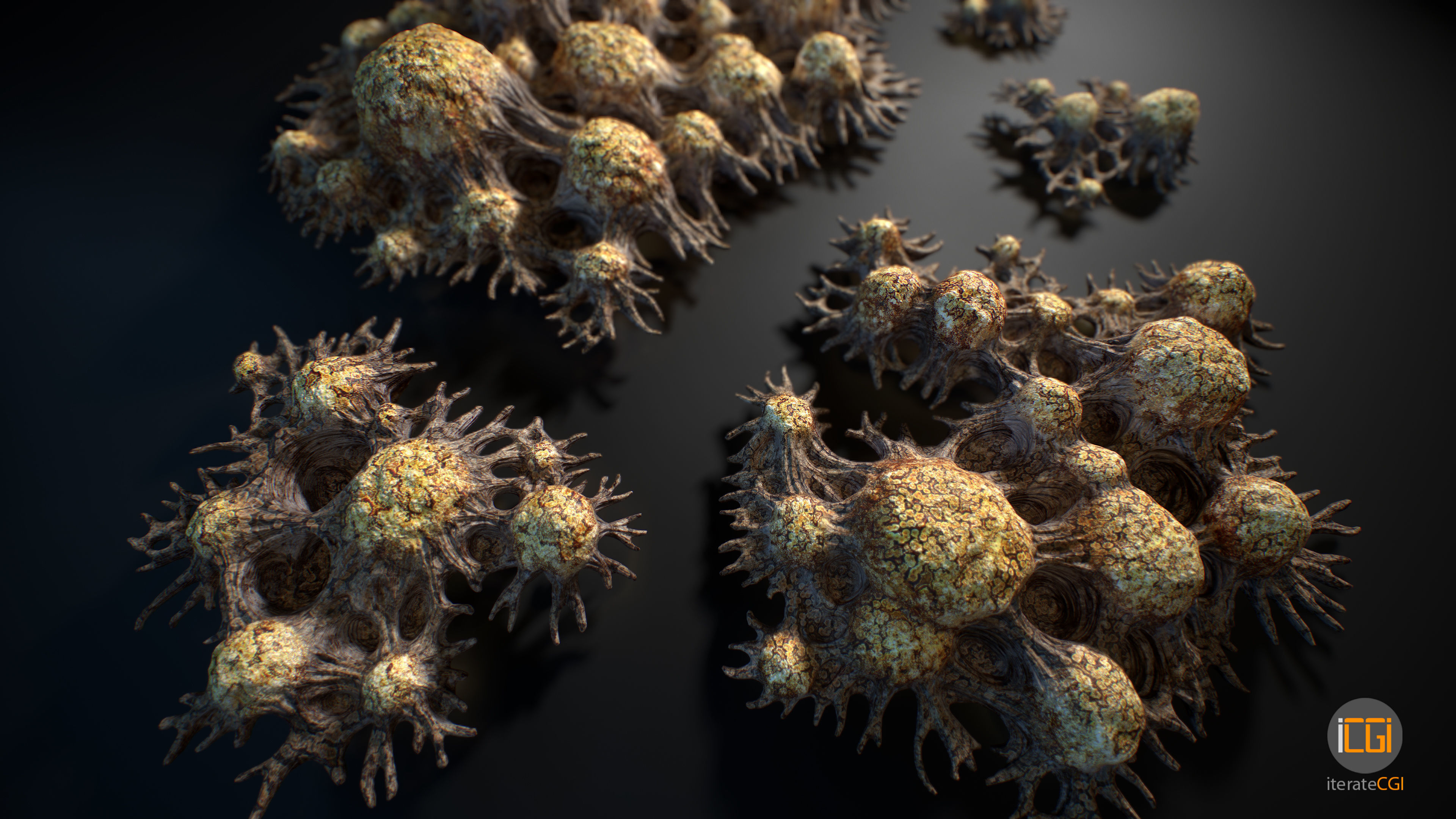 Alien Plant Fungus Type 3 3D model_43