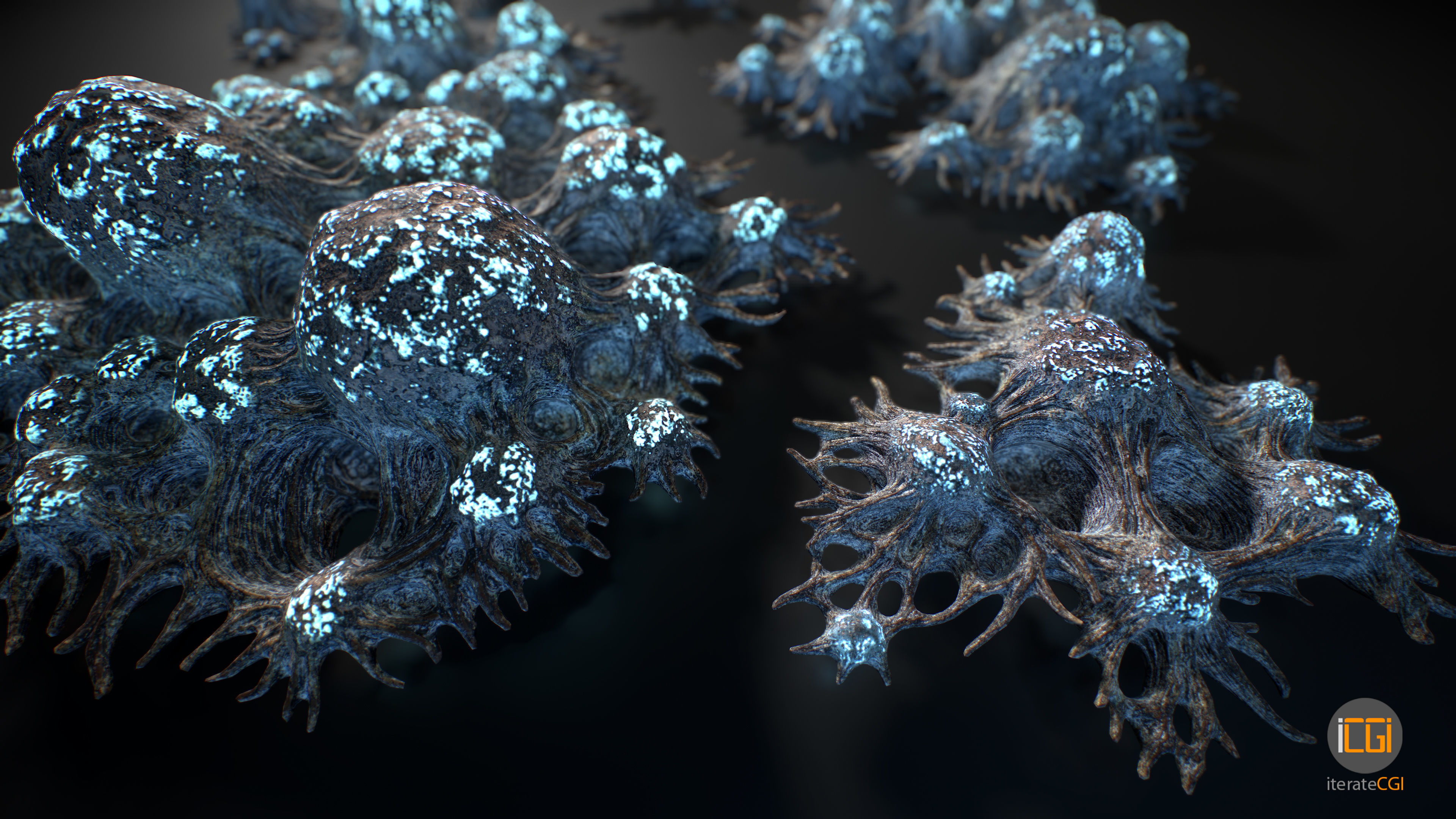 Alien Plant Fungus Type 3 3D model_25