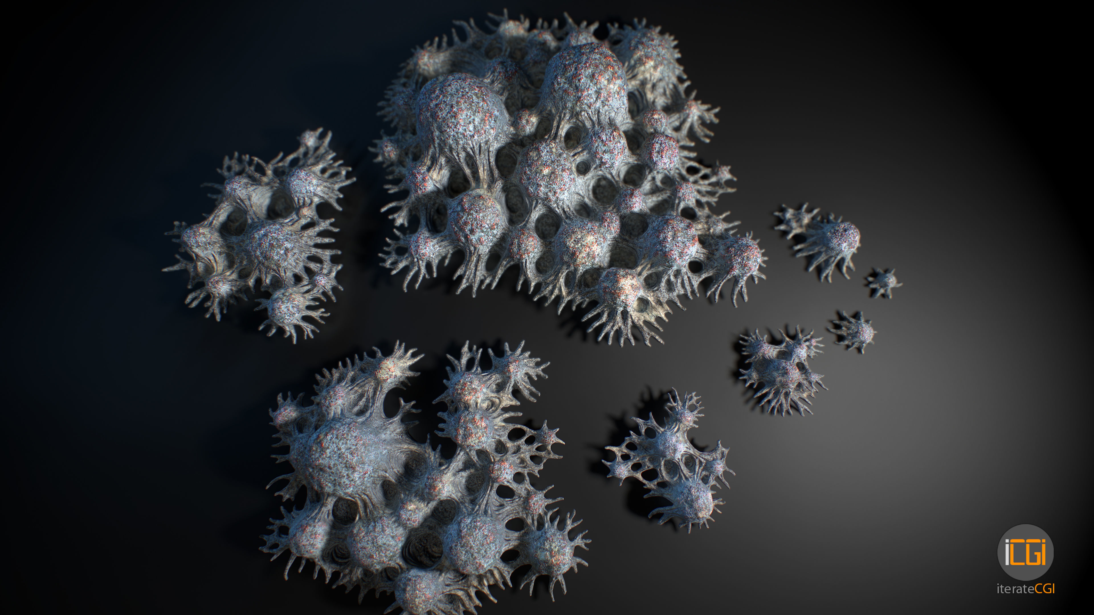 Alien Plant Fungus Type 3 3D model_39