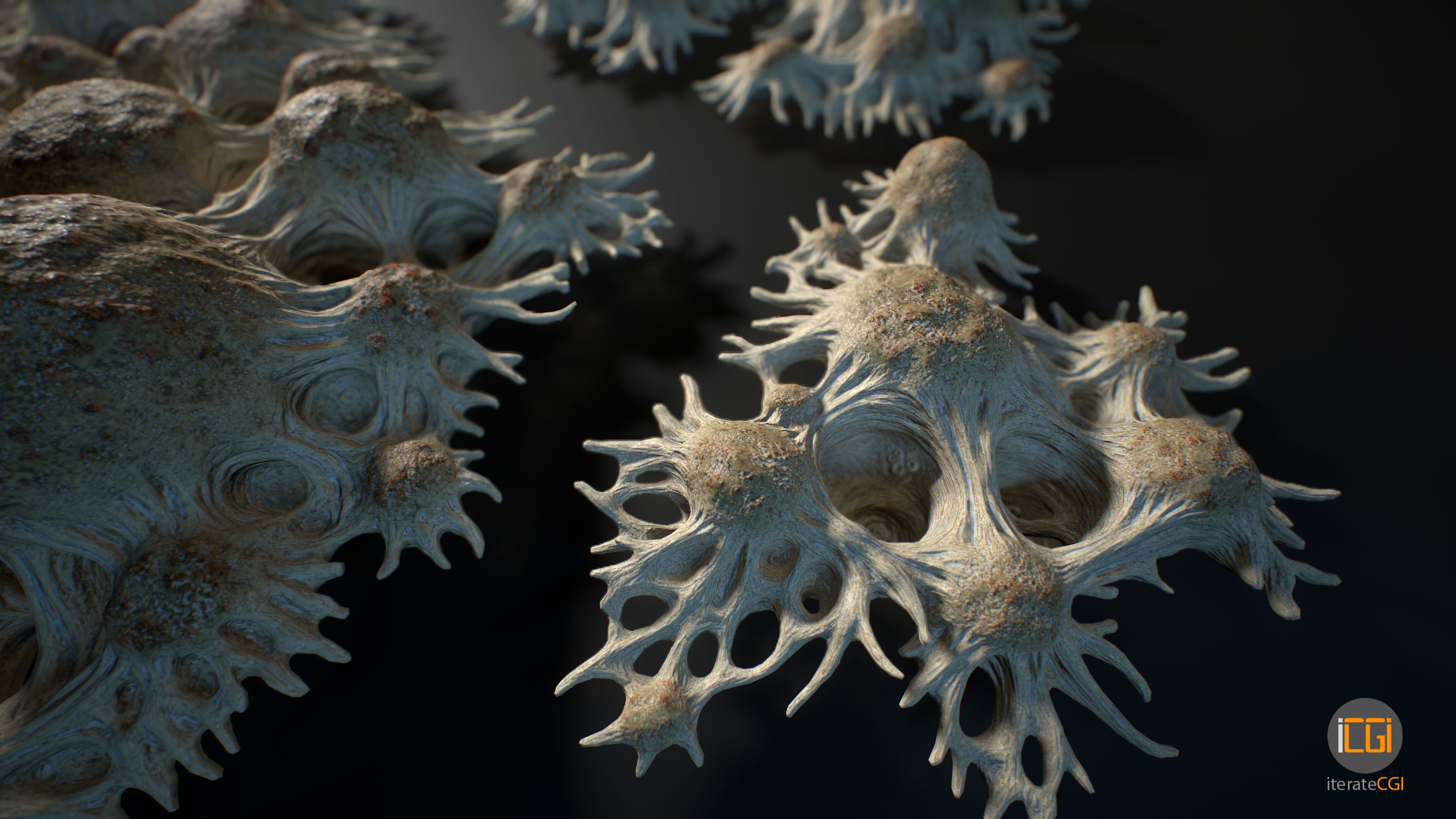 Alien Plant Fungus Type 3 3D model_14