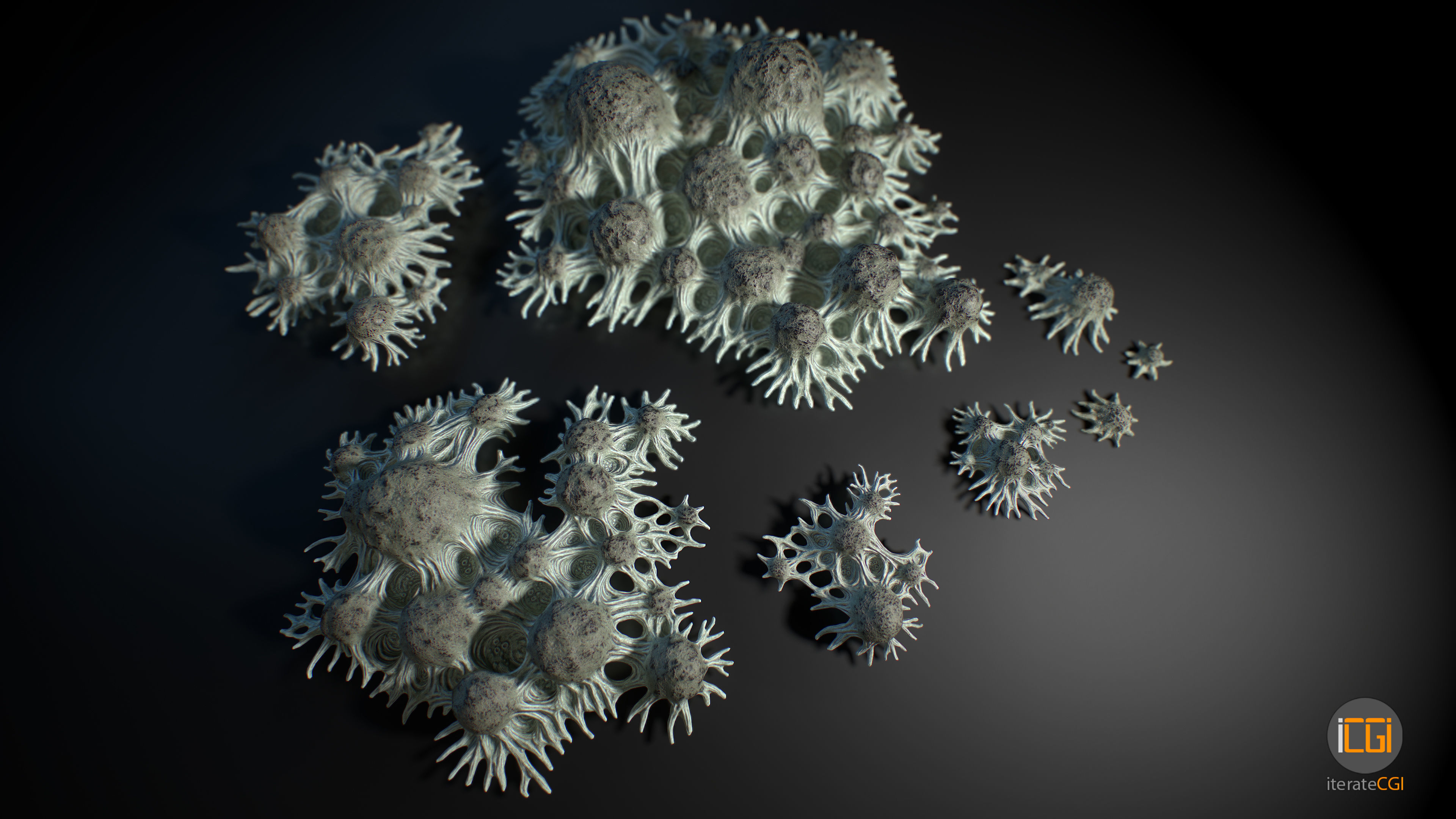 Alien Plant Fungus Type 3 3D model_22