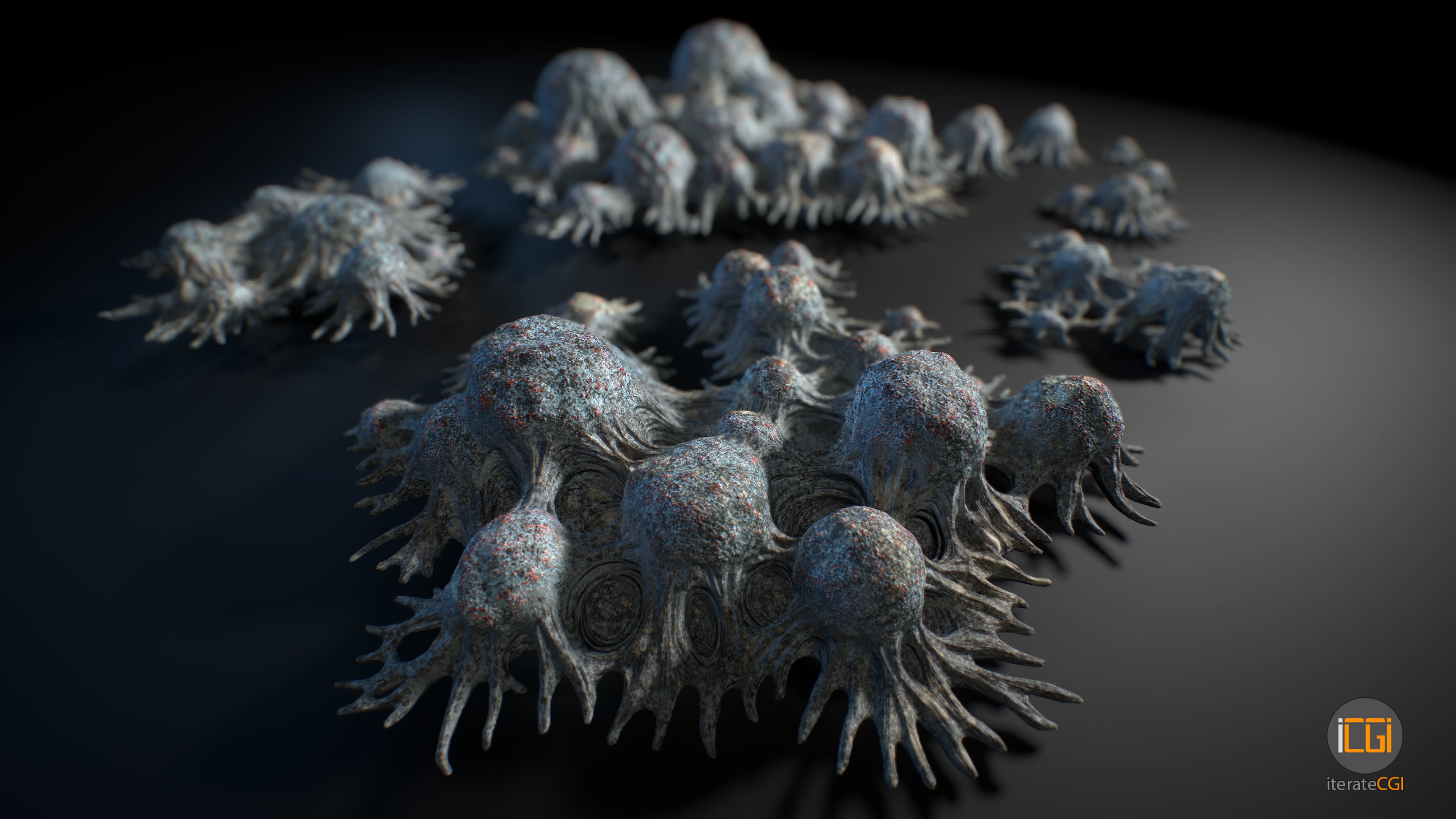 Alien Plant Fungus Type 3 3D model_19
