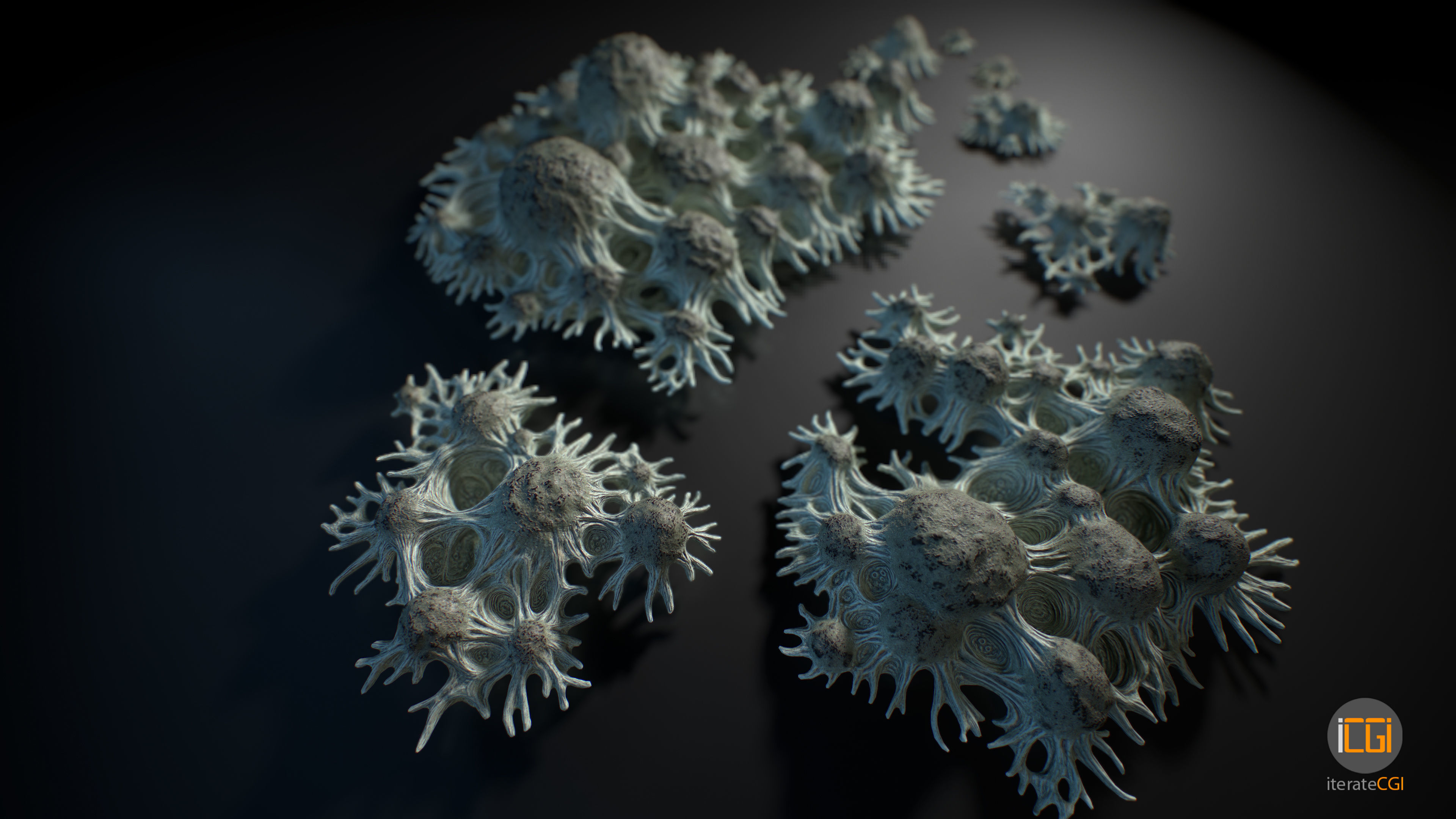 Alien Plant Fungus Type 3 3D model_1