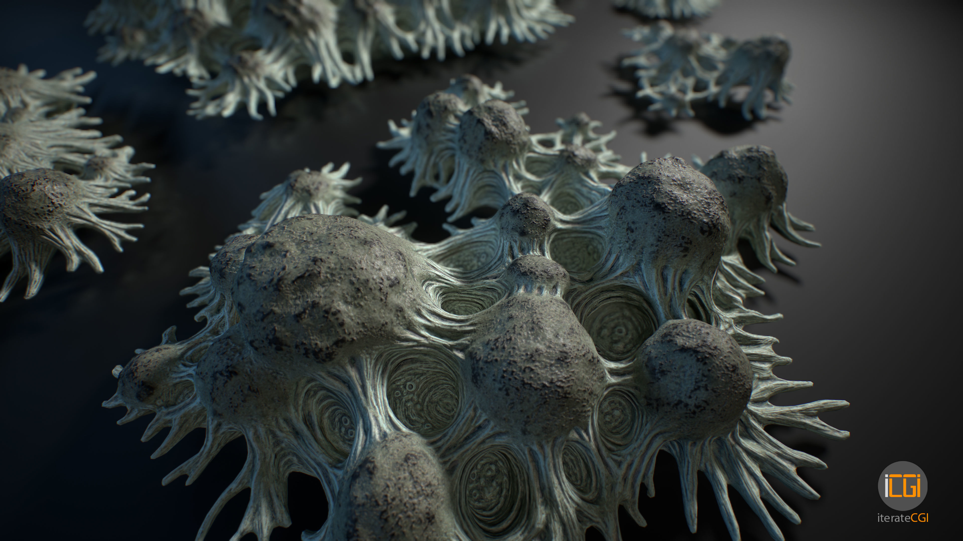 Alien Plant Fungus Type 3 3D model_23