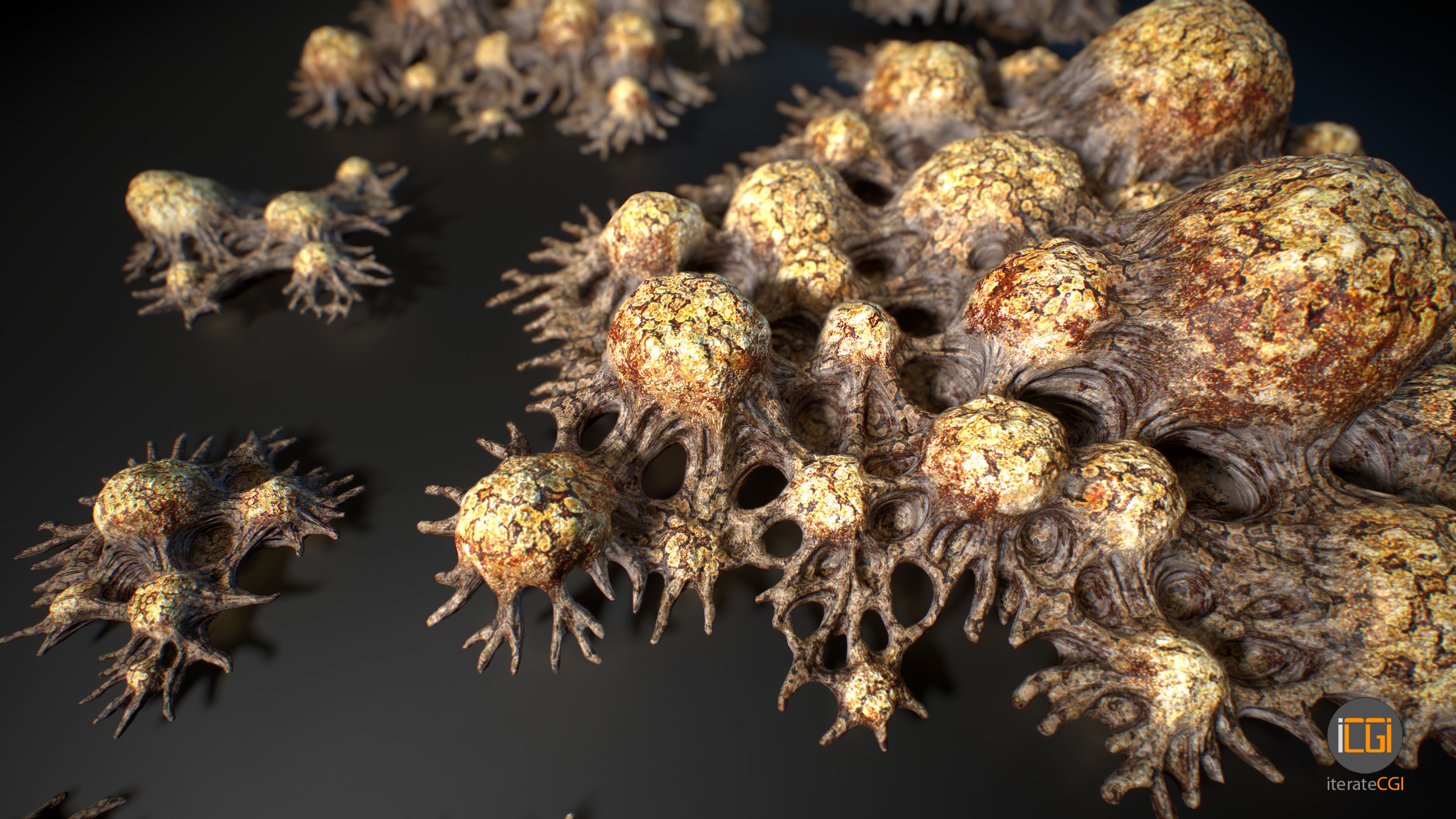 Alien Plant Fungus Type 3 3D model_57
