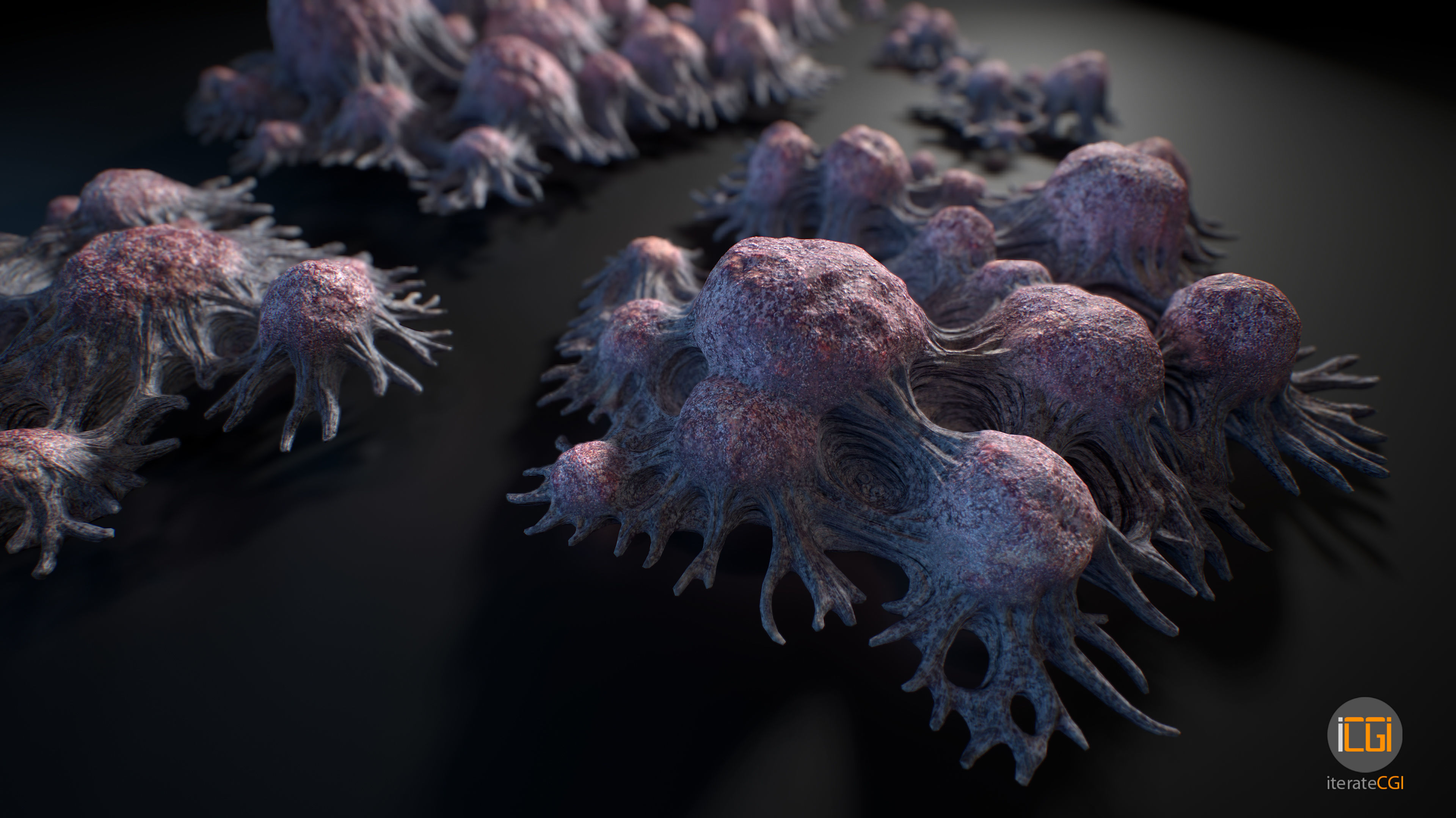 Alien Plant Fungus Type 3 3D model_20