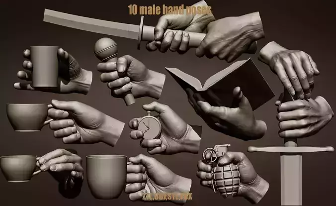 10 male hand poses 3D model