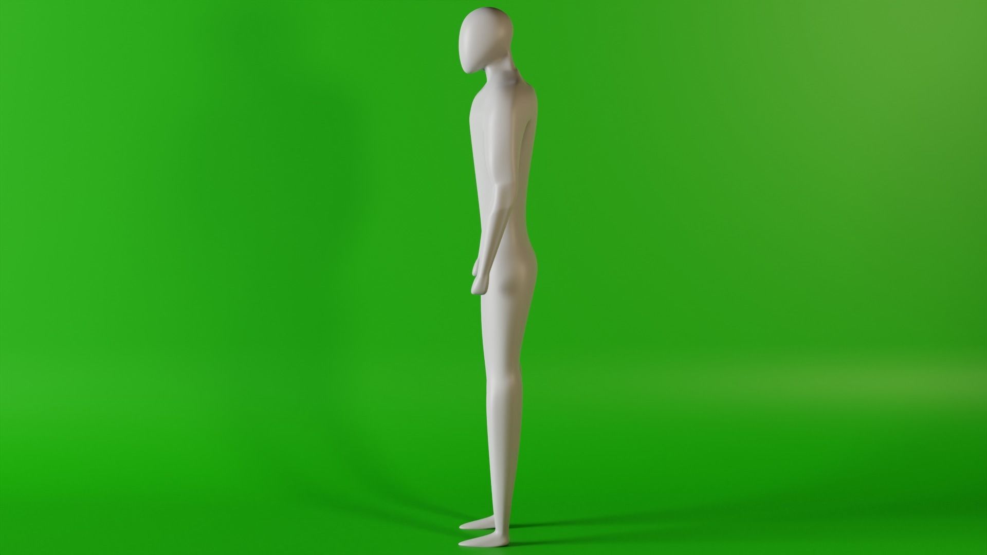 Humanoid Body Rigged Low-poly 3D model_1